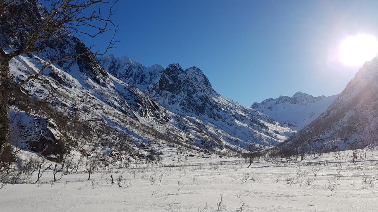 Prima Lofoten Myrland Eksteriør billede