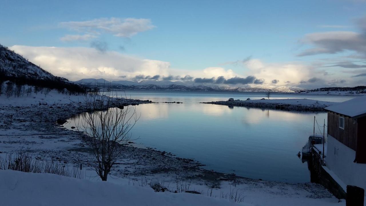 Prima Lofoten Myrland Eksteriør billede
