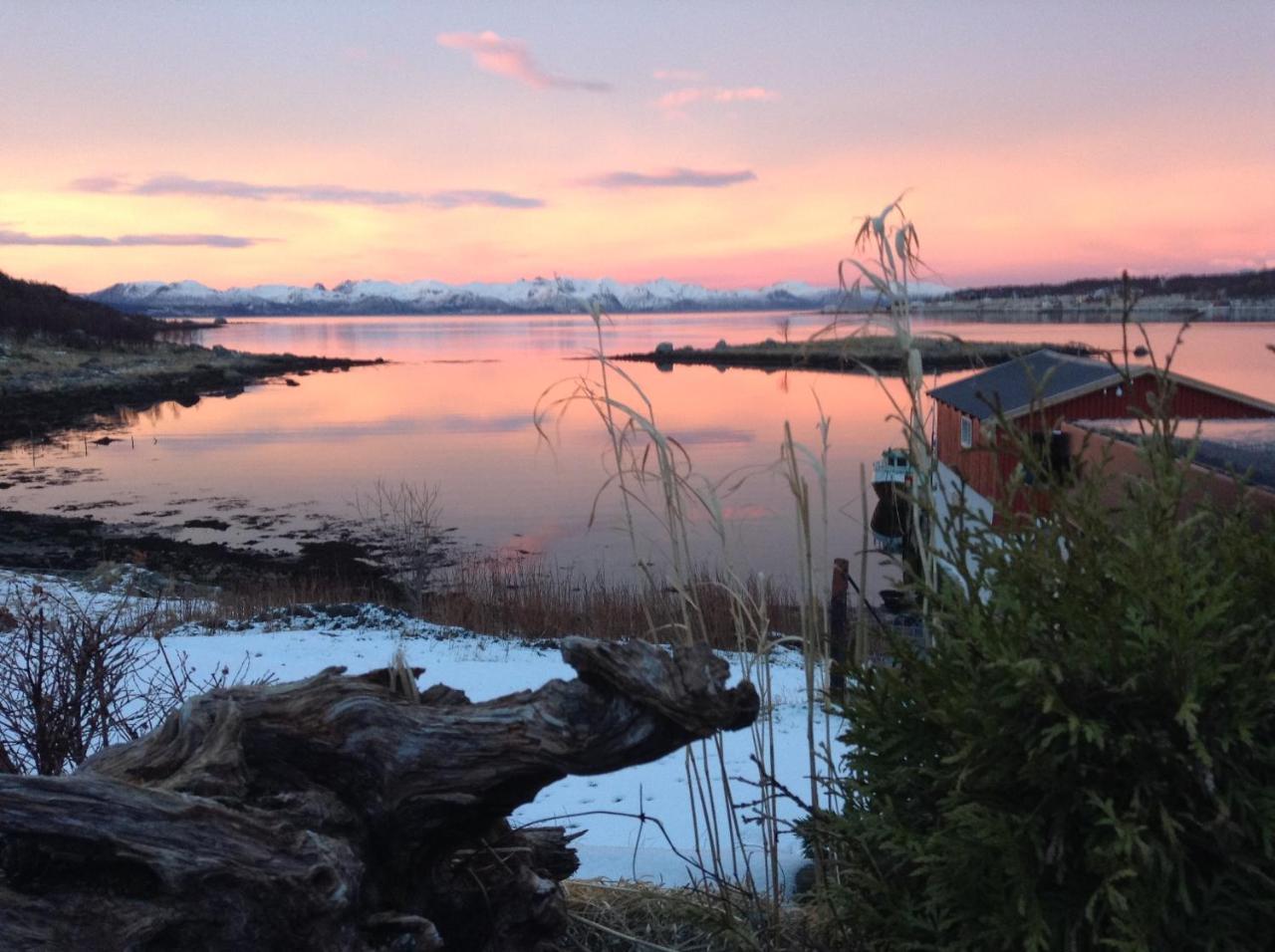 Prima Lofoten Myrland Eksteriør billede