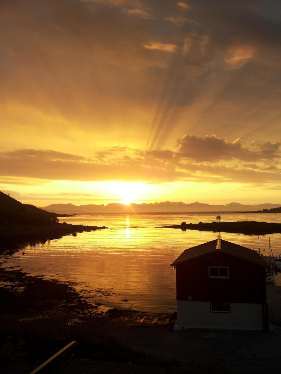Prima Lofoten Myrland Eksteriør billede