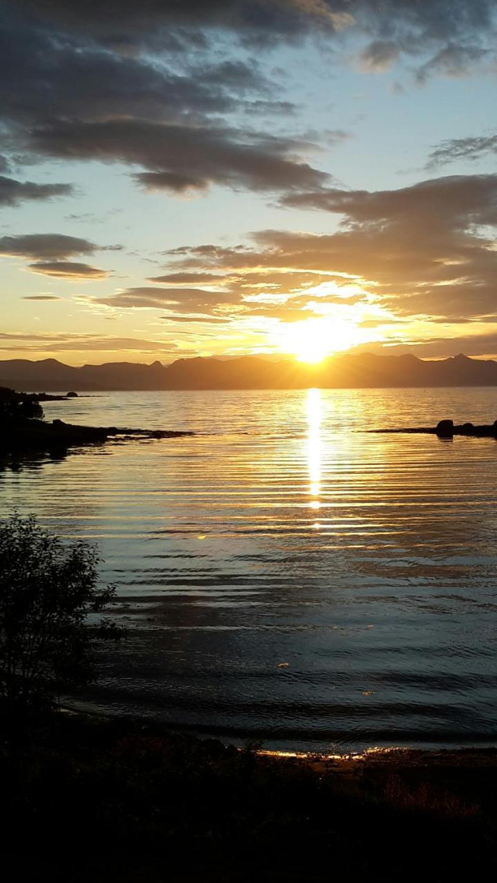 Prima Lofoten Myrland Eksteriør billede