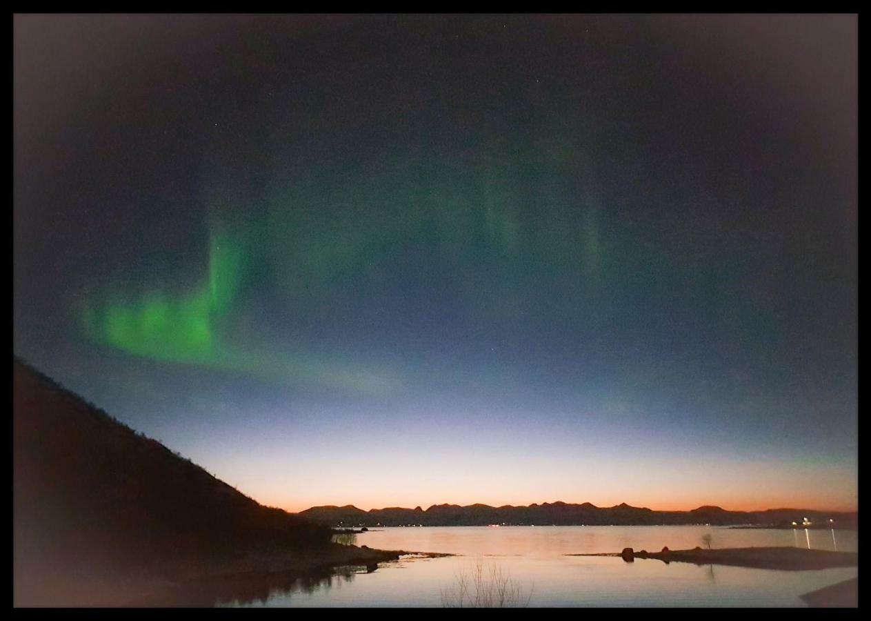 Prima Lofoten Myrland Eksteriør billede